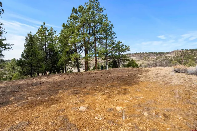 a view of outdoor space with trees