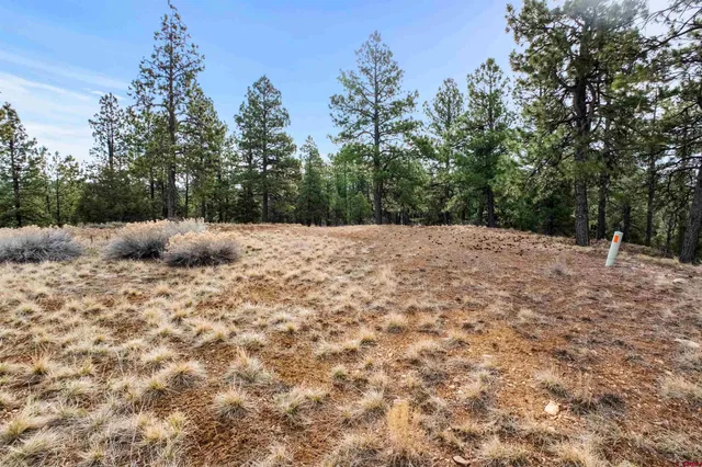 a fire hydrant in the middle of a field