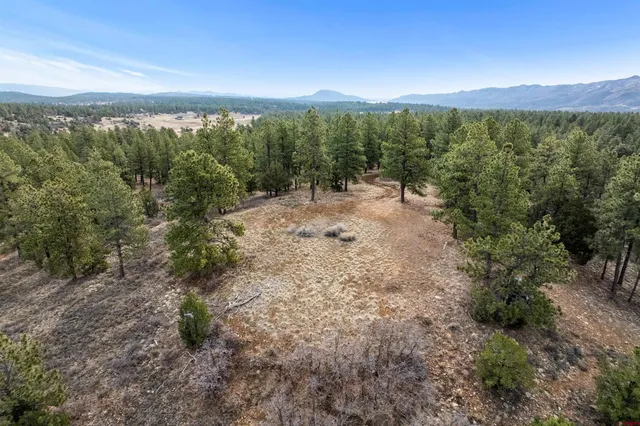 a view of a city with lush green forest