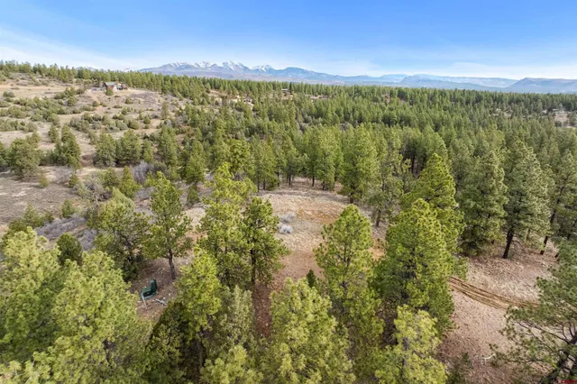 a view of a city with lots of trees