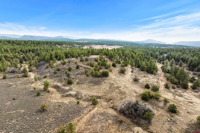 a view of city and green space