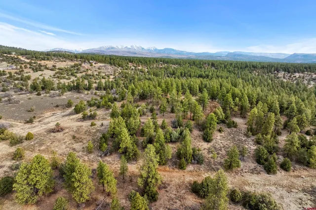 a view of a city with lush green forest