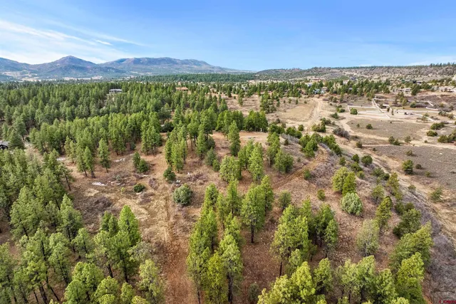 $497,000 | 717 Zane Drive, Hesperus, CO 81326