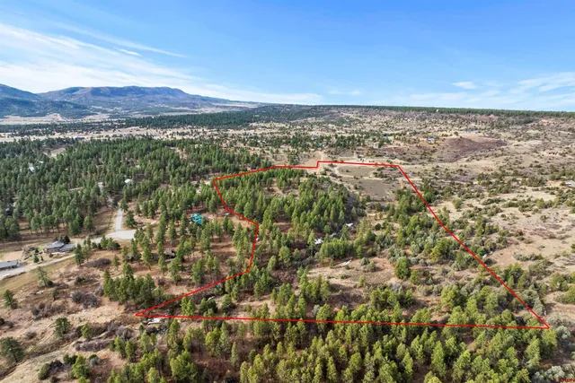 a view of city and mountain
