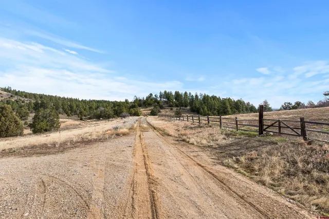 a view of a dry yard with wooden fence