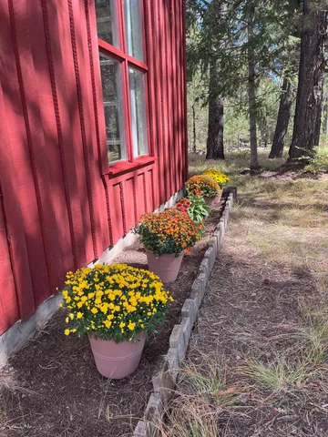 a view of a yard next to a building