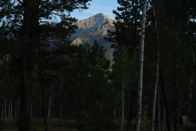a view of a yard covered with snow in front of house