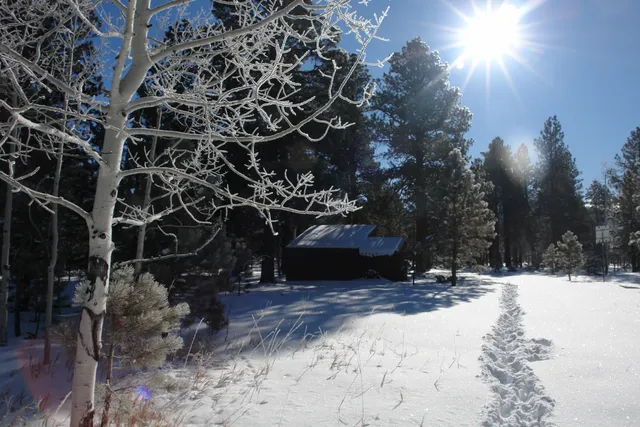 a view of road with trees
