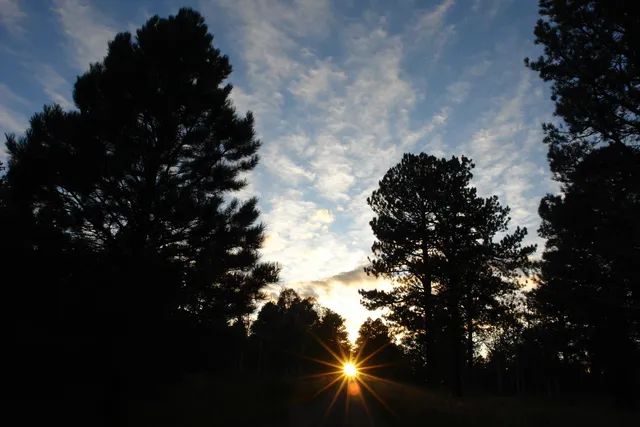a view of a room with a table and chairs