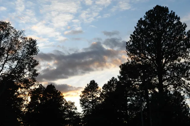 a view of walk in closet