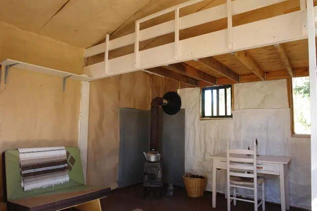a view of a yard with large trees