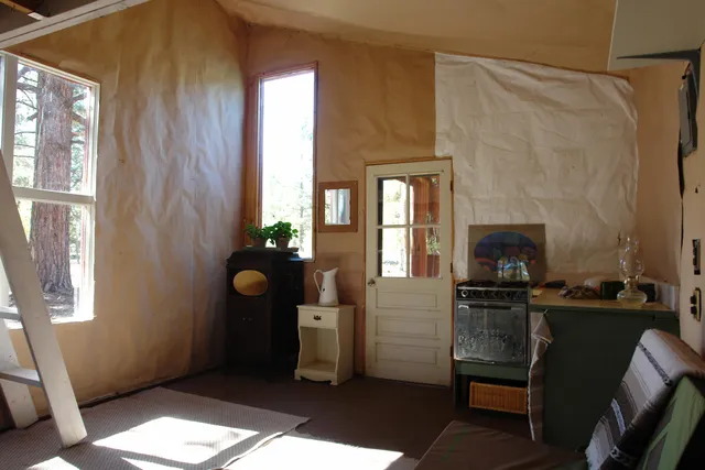 a view of a door in the forest