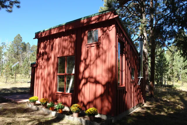 a view of a yard with trees
