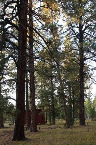 a building with trees in front of it