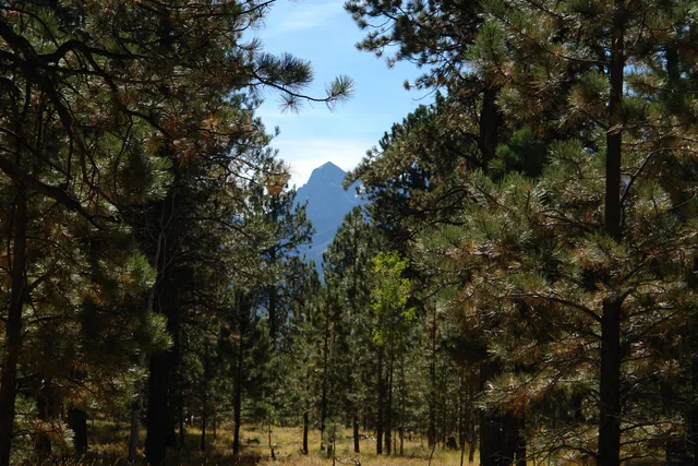 $378,000 | 80 West Piney Woods Way, Ridgway, CO 81432