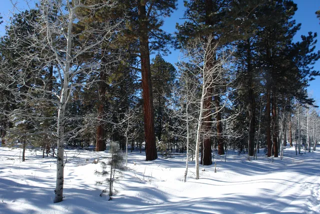 $378,000 | 80 West Piney Woods Way, Ridgway, CO 81432