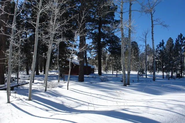 $378,000 | 80 West Piney Woods Way, Ridgway, CO 81432