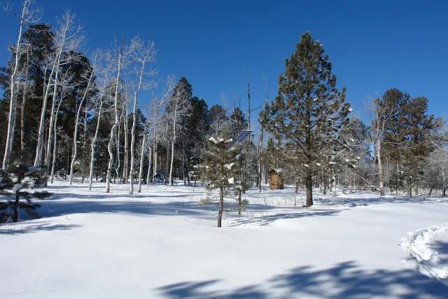 $378,000 | 80 West Piney Woods Way, Ridgway, CO 81432