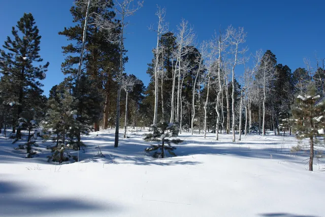 $378,000 | 80 West Piney Woods Way, Ridgway, CO 81432