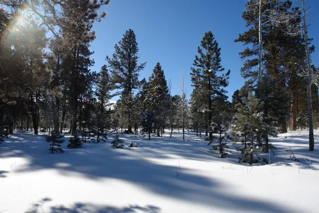 $378,000 | 80 West Piney Woods Way, Ridgway, CO 81432