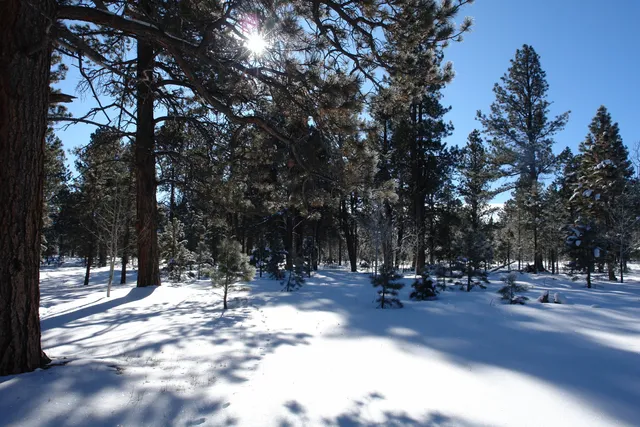 $378,000 | 80 West Piney Woods Way, Ridgway, CO 81432