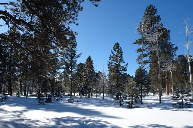 $378,000 | 80 West Piney Woods Way, Ridgway, CO 81432