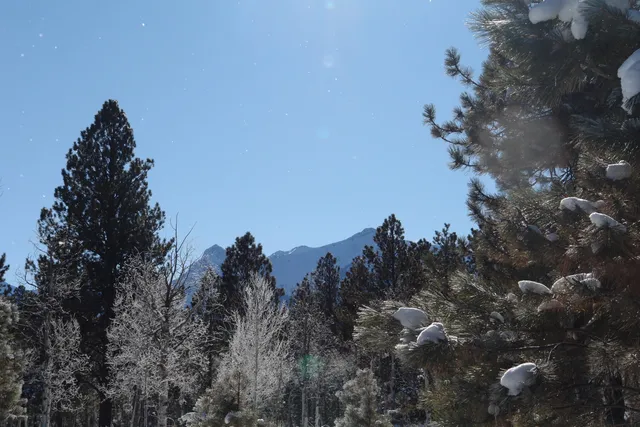 $378,000 | 80 West Piney Woods Way, Ridgway, CO 81432