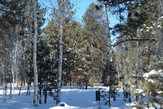 $378,000 | 80 West Piney Woods Way, Ridgway, CO 81432