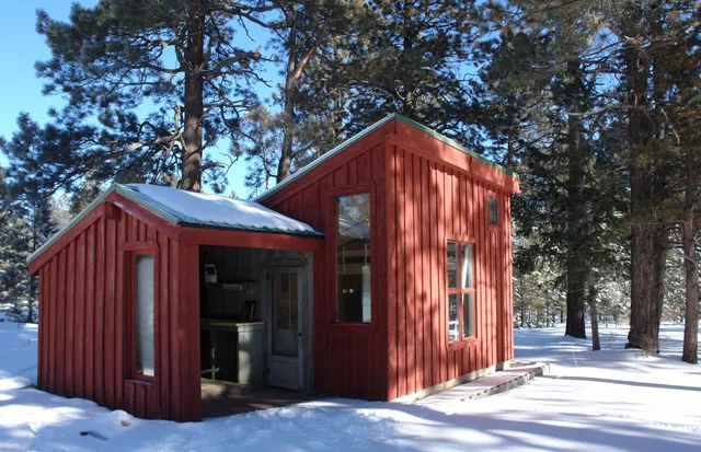 a view of a backyard with chairs and flower plants
