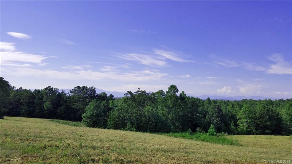 0 Nc Highway Tryon, NC 28782 - Photo 11 of 21