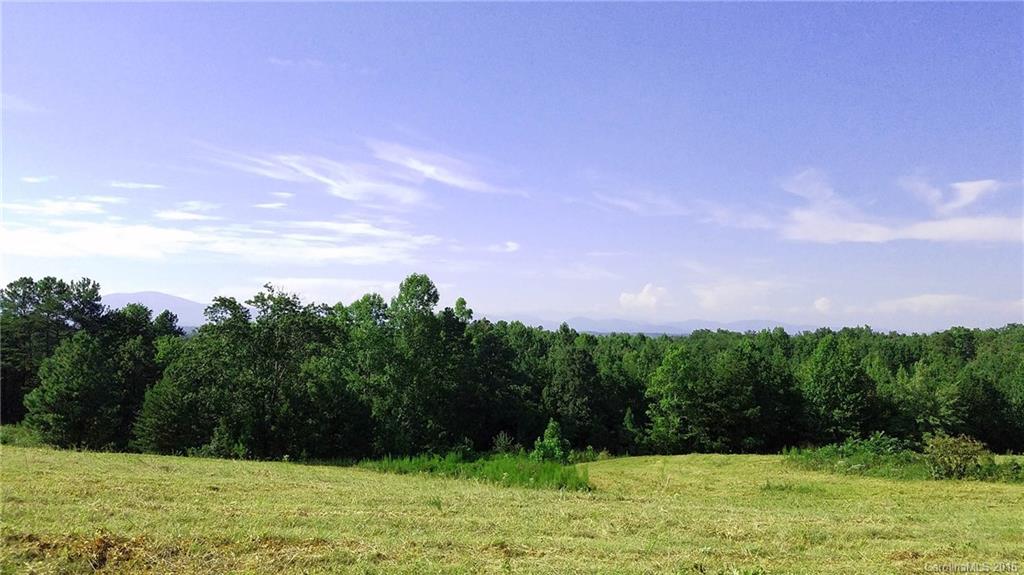 0 Nc Highway Tryon, NC 28782 - Photo 12 of 21