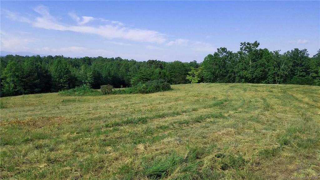 0 Nc Highway Tryon, NC 28782 - Photo 13 of 21