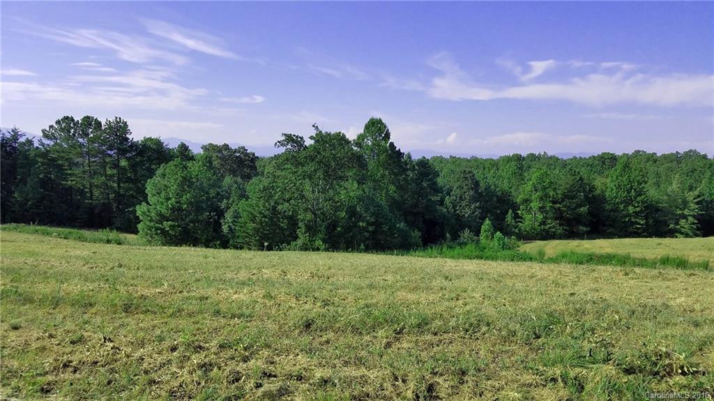 0 Nc Highway Tryon, NC 28782 - Photo 14 of 21