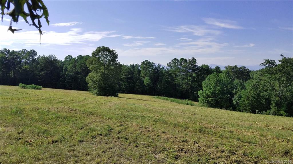 0 Nc Highway Tryon, NC 28782 - Photo 15 of 21