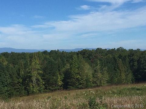 0 Nc Highway Tryon, NC 28782 - Photo 17 of 21