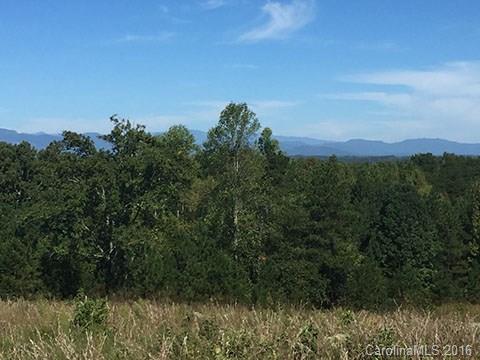 0 Nc Highway Tryon, NC 28782 - Photo 18 of 21