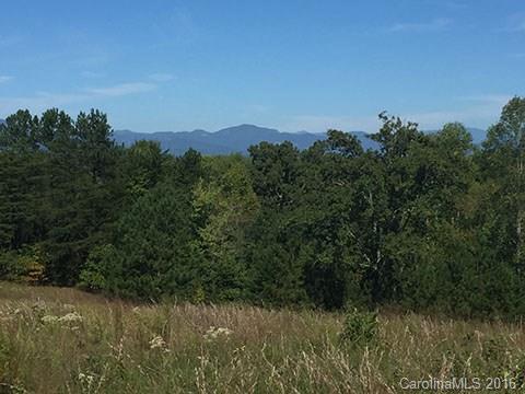 0 Nc Highway Tryon, NC 28782 - Photo 19 of 21