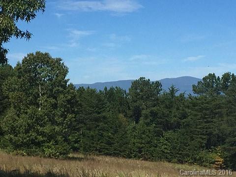 0 Nc Highway Tryon, NC 28782 - Photo 20 of 21
