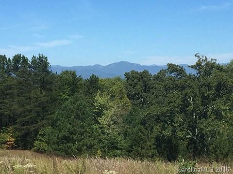 0 Nc Highway Tryon, NC 28782 - Photo 21 of 21