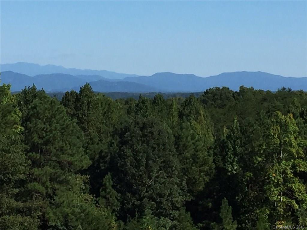 0 Nc Highway Tryon, NC 28782 - Photo 5 of 21