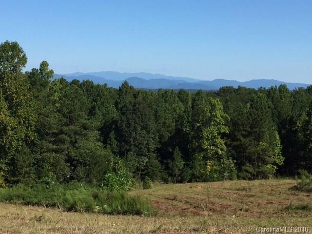 0 Nc Highway Tryon, NC 28782 - Photo 7 of 21