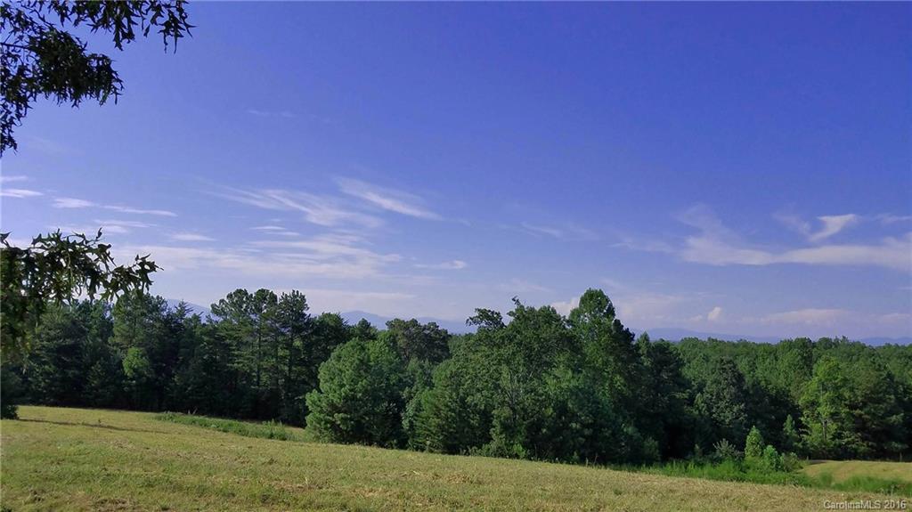 0 Nc Highway Tryon, NC 28782 - Photo 8 of 21