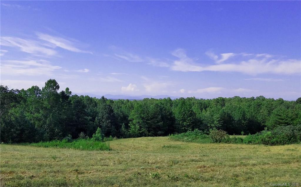 0 Nc Highway Tryon, NC 28782 - Photo 9 of 21