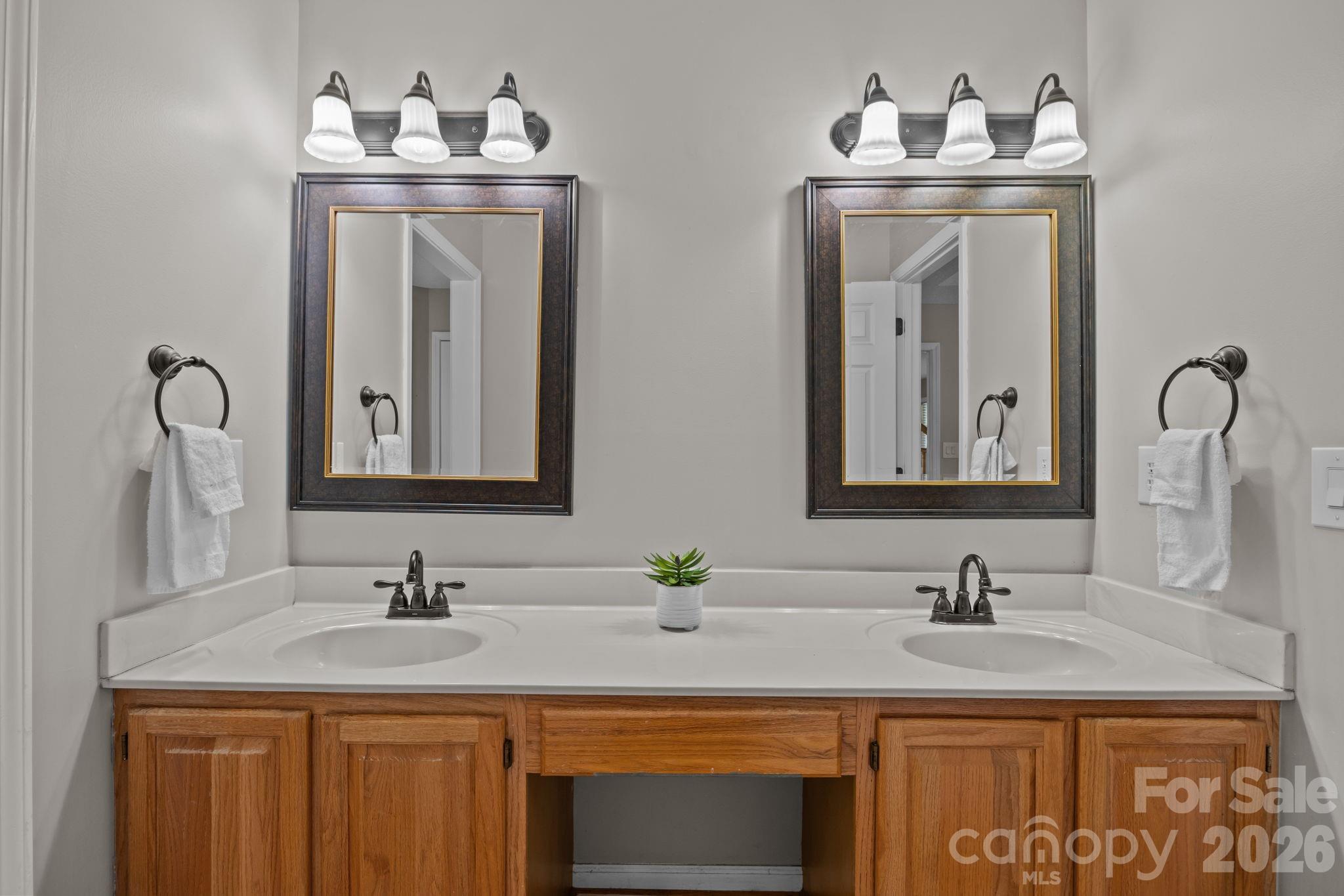 6 Springfield Way Arden, NC 28704 - Photo 23 of 47 a bathroom with a sink vanity and a mirror