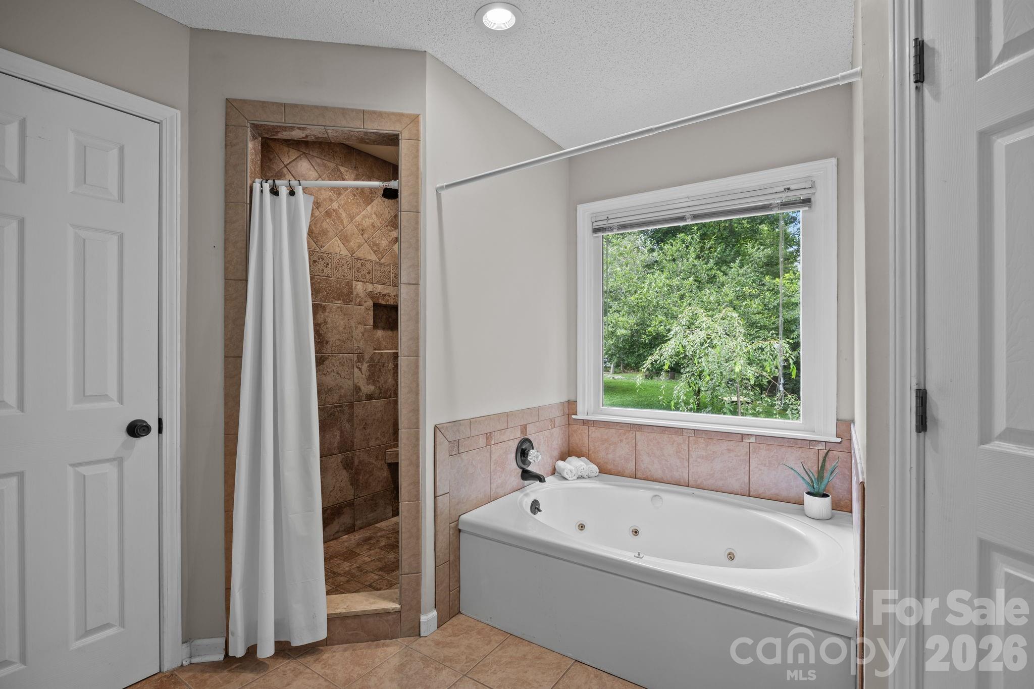 6 Springfield Way Arden, NC 28704 - Photo 25 of 47 a bathroom with a bathtub and a shower