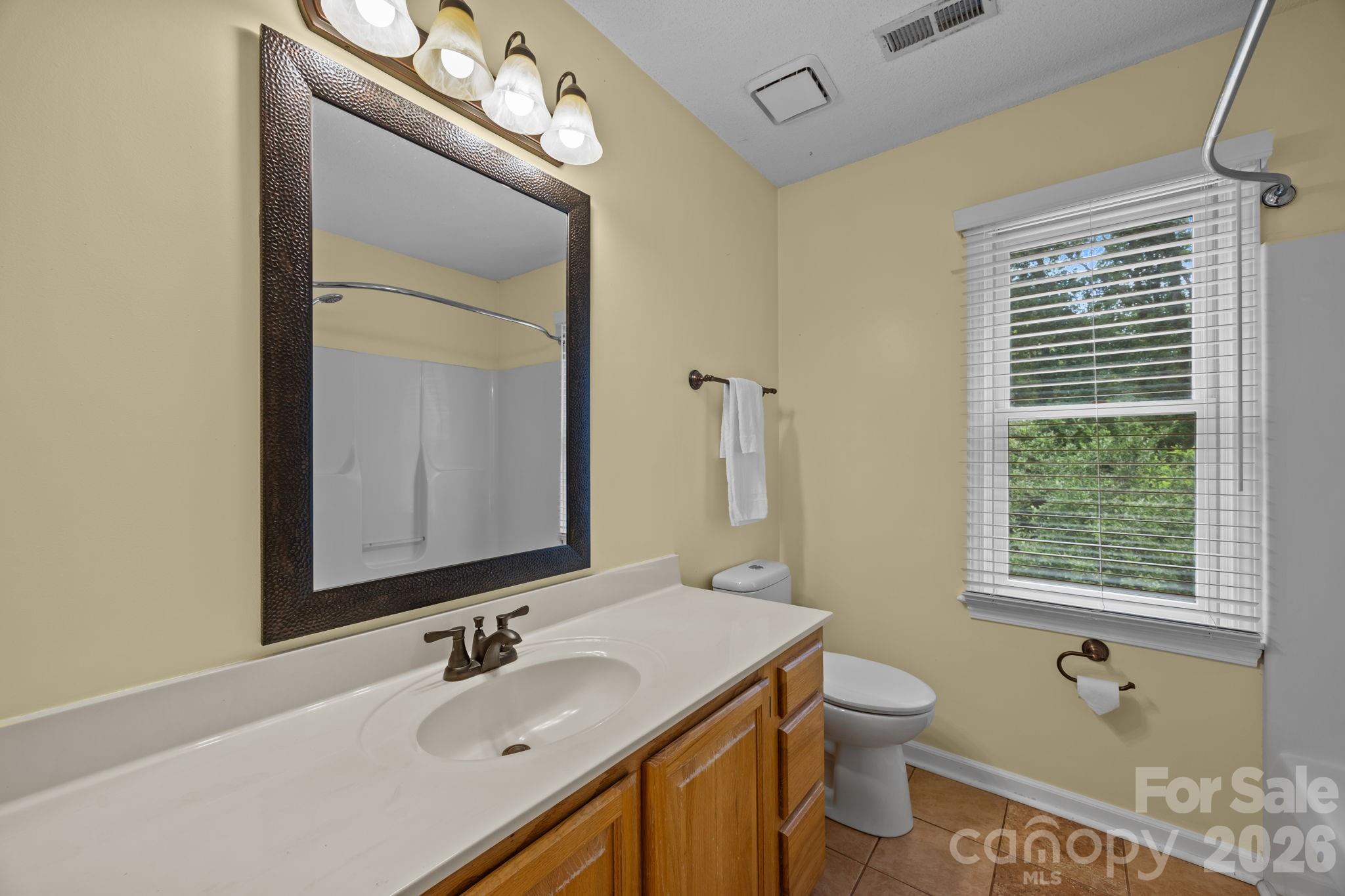 6 Springfield Way Arden, NC 28704 - Photo 28 of 47 a bathroom with a sink a toilet and a mirror