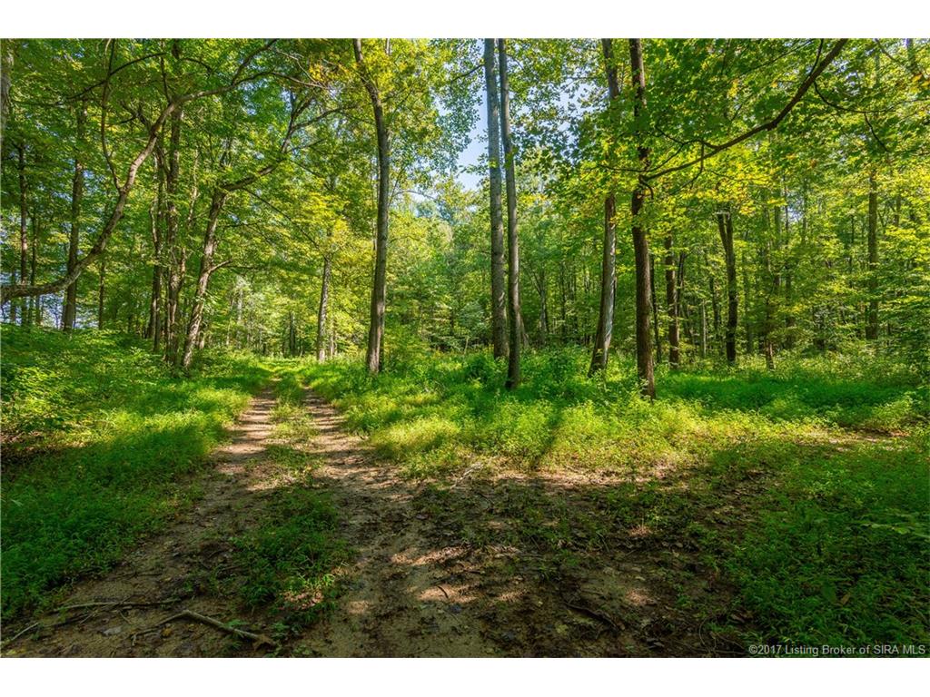 9430 Sandy Branch Road Southeast Elizabeth, IN 47117 - Photo 55 of 57