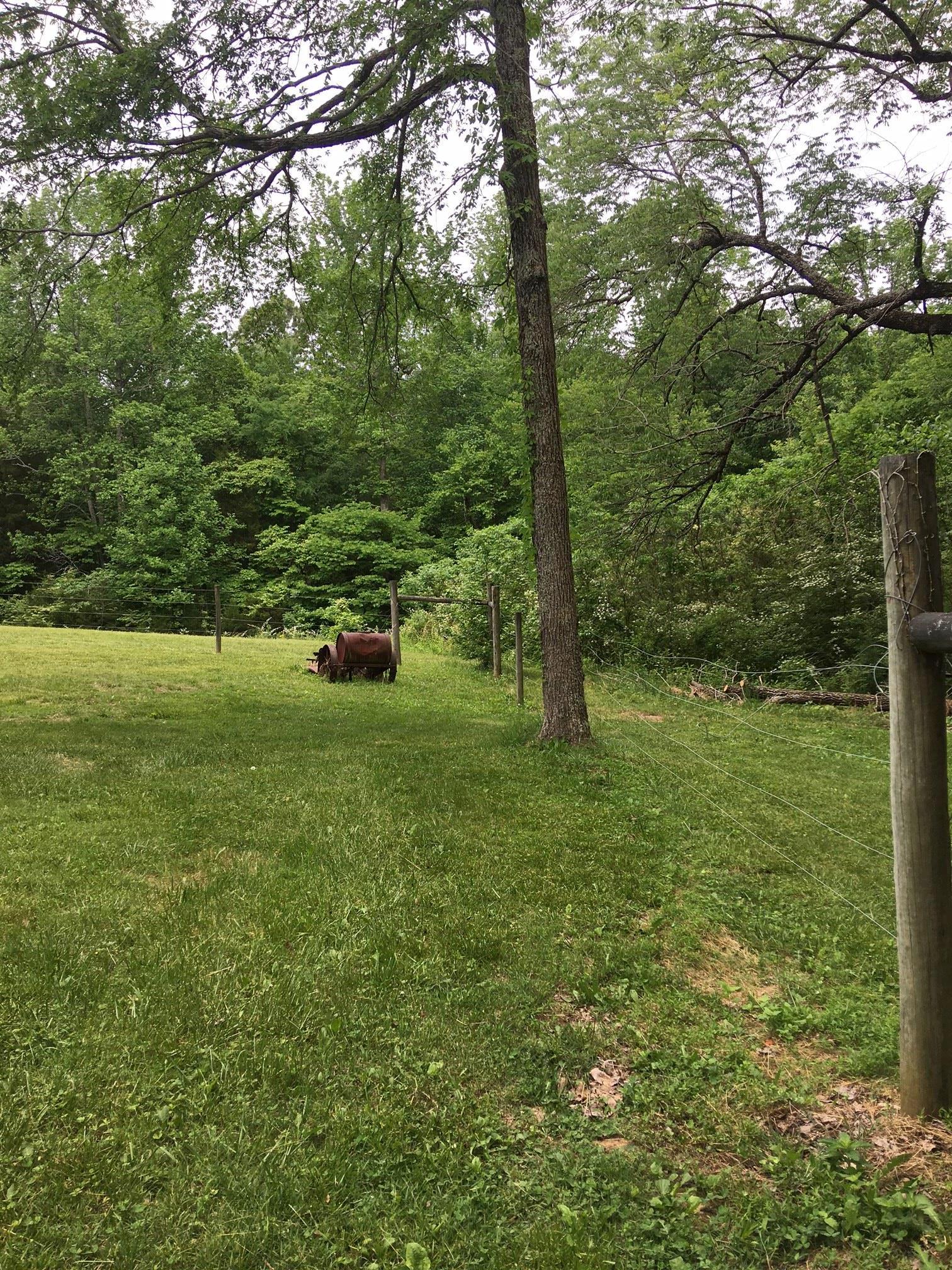 1914 Lake Road Greenbrier, TN 37073 - Photo 10 of 29 Gallery Image 10