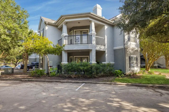 a living room filled with furniture and a potted plant