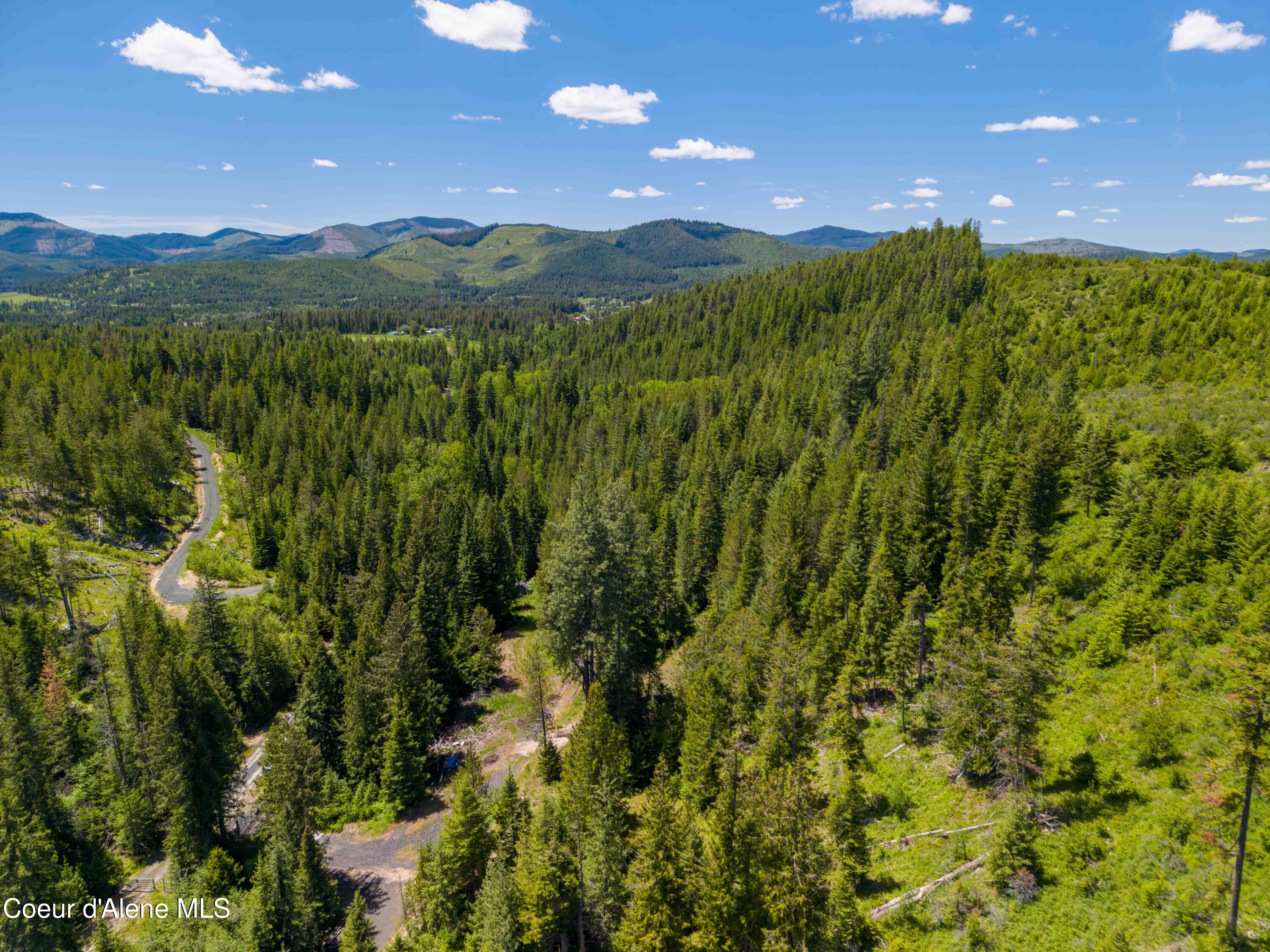1314 Finn Creek Road Fernwood, ID 83830 - Photo 8 of 23 June 11 2026 (15 of 20)